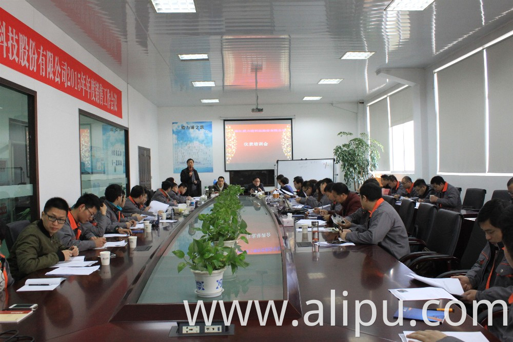 Dosing pump technology meeting ailipu